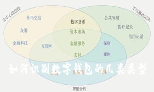 如何识别数字钱包的几类类型