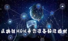 从零到万倍：区块链MDM币你准备好迎接财富挑战