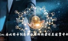 Tokenim：为比特币创造新机遇的桥梁还是迷雾中的