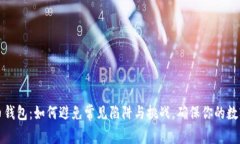 掌握以太币钱包：如何避免常见陷阱与挑战，确