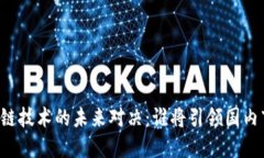 区块链技术的未来对决：谁将引领国内市场？